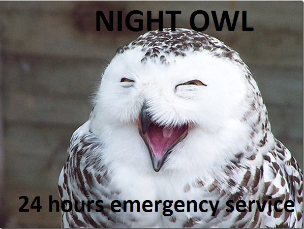 nightowl tl nightowl tl