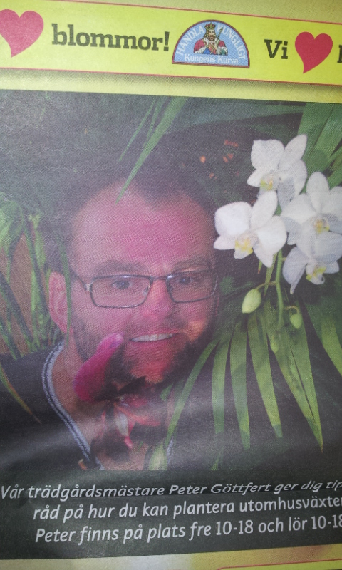 Adam lookalike