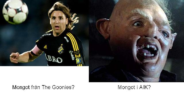Aikgoonies