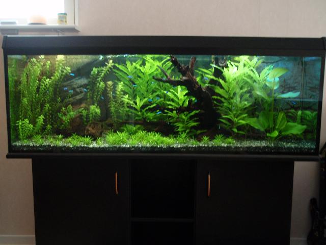Akvarium