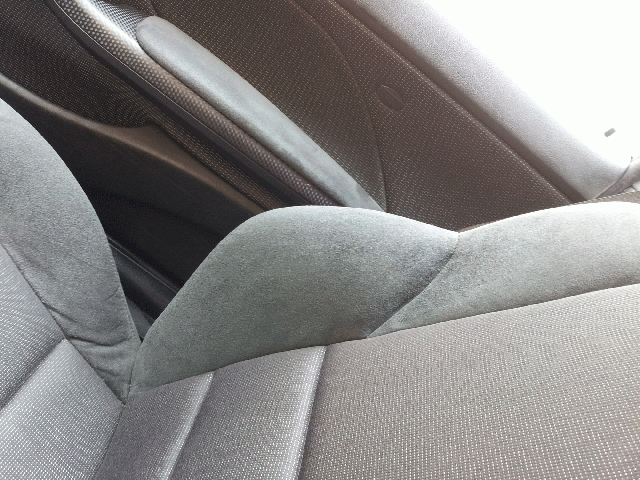 Alcantara