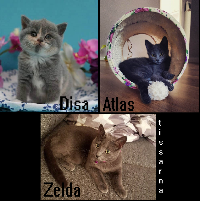 Atlas,diza,zelda