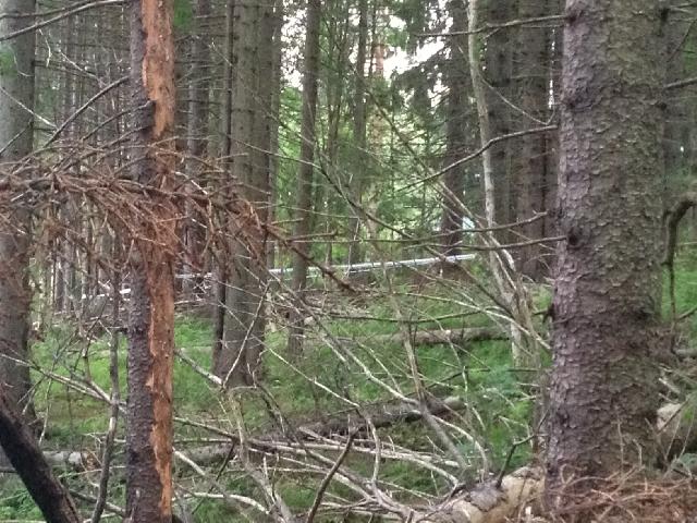 Avspärrning