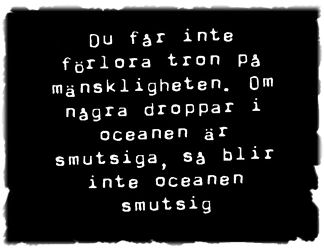 Bild1