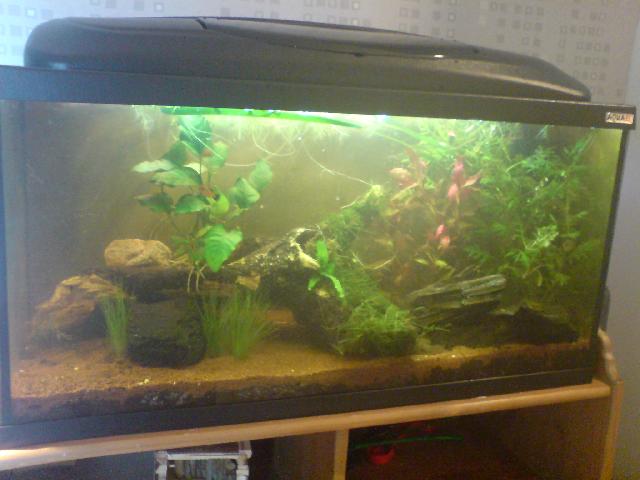 Bild1