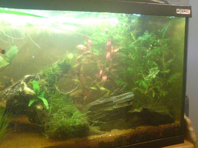 Bild3,
