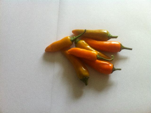 Bulgarian carrot