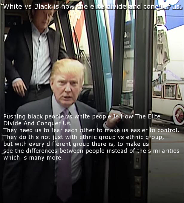 Donald trump (the elite)