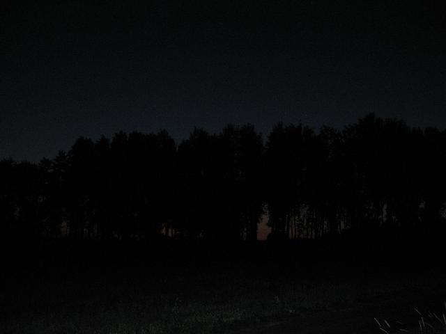 Dsc_0101