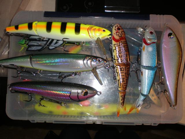 Fiske