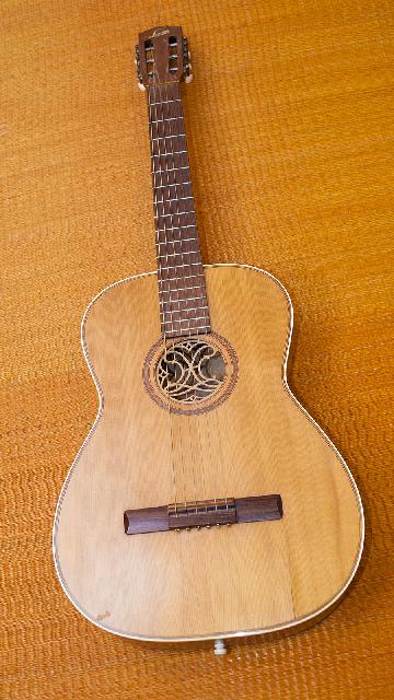 Gitarr levin