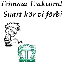 Hata taif