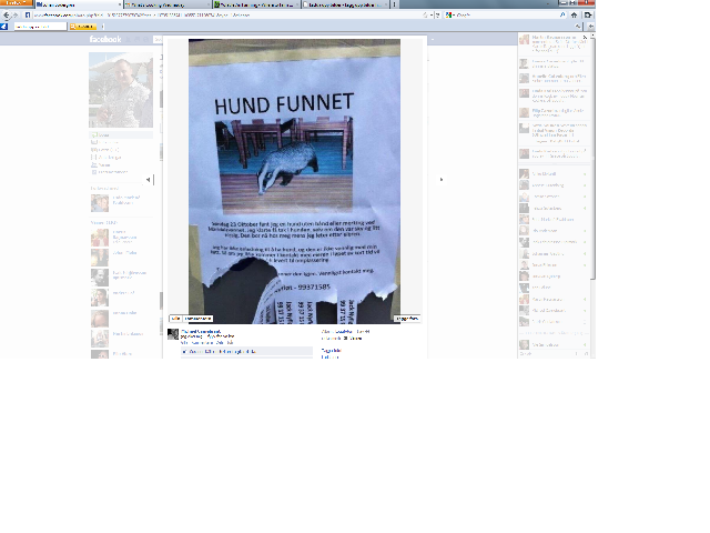 Hund funnet