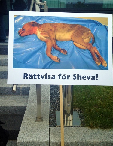 Hunden sheva