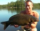 Karp fisk av krille