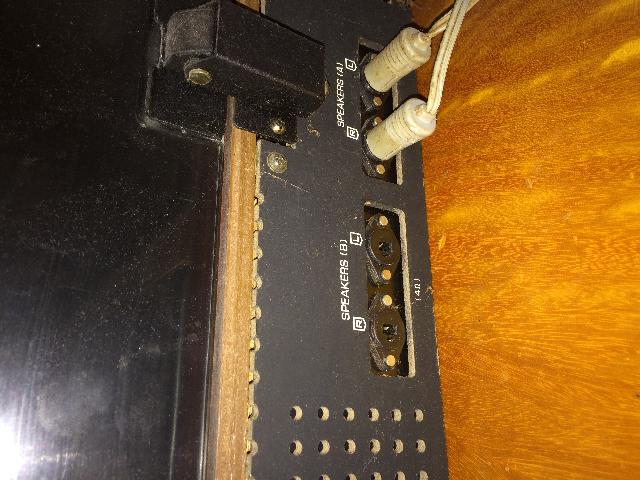 Panasonic