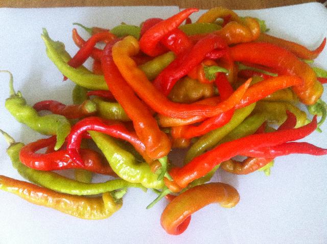 Peperoncini