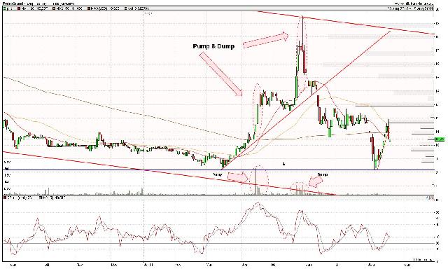 Petrogrand pump & dump