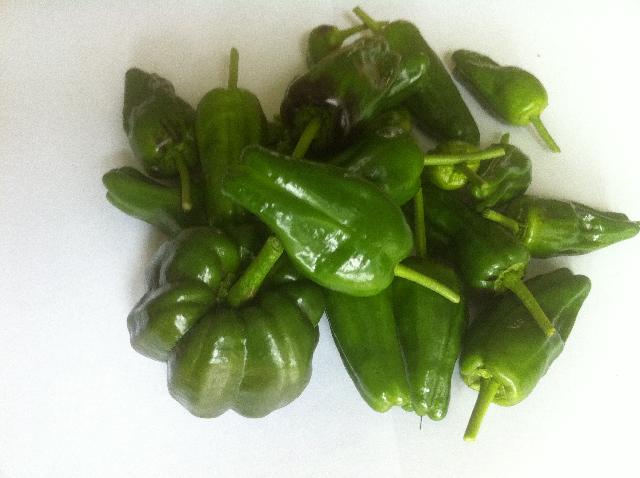 Pimientos de padron