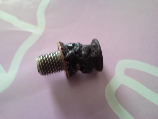 Plugg