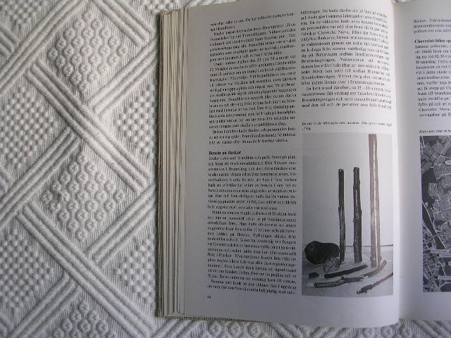 Raggarna4