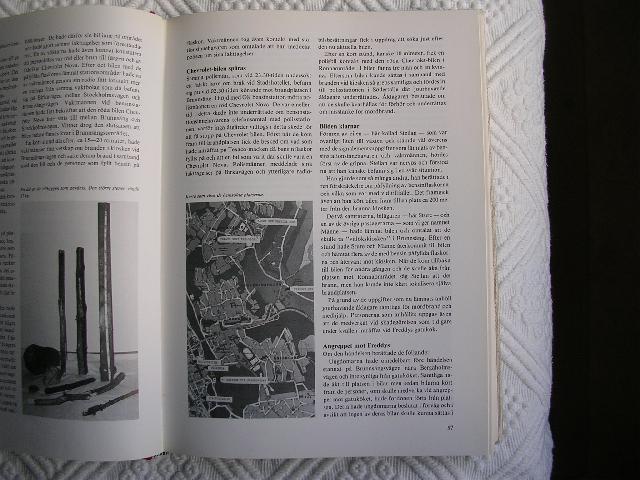 Raggarna5
