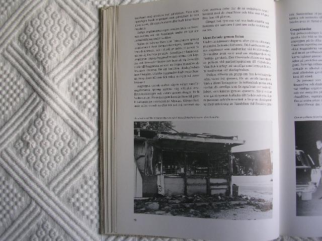 Raggarna6