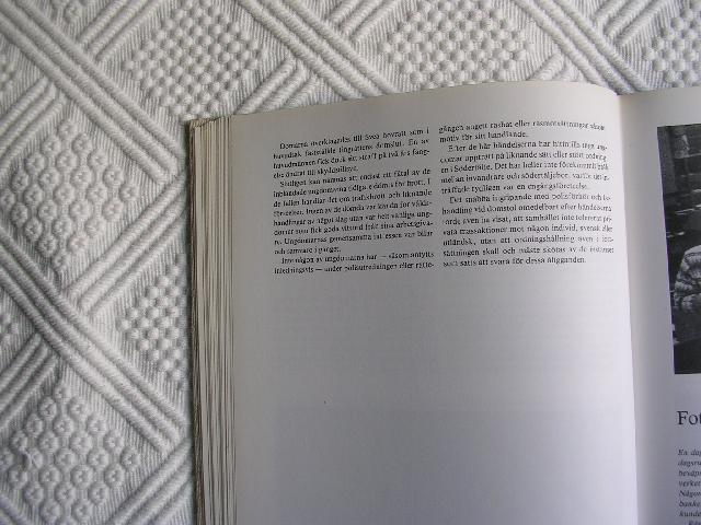 Raggarna8