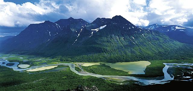 Sarek