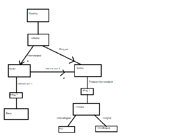 Schema