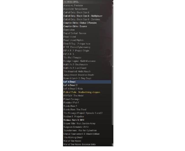 Steam spel