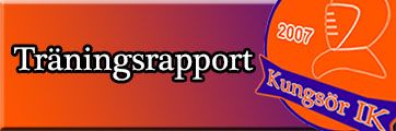 T-rapport