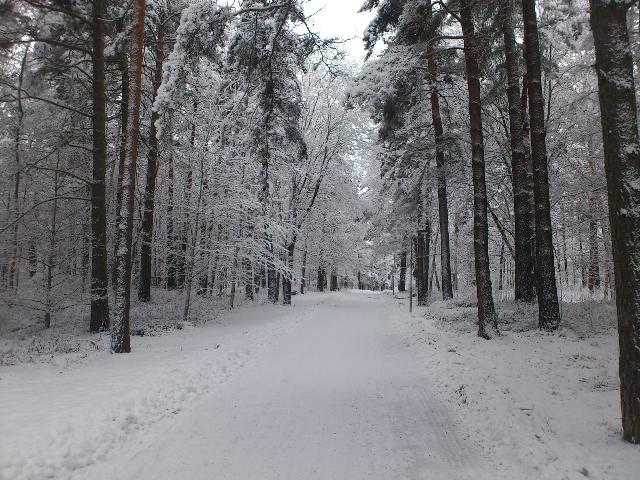 Vinter väg