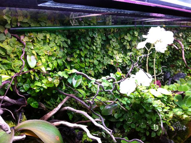 Vivarium