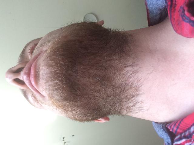 Week 2